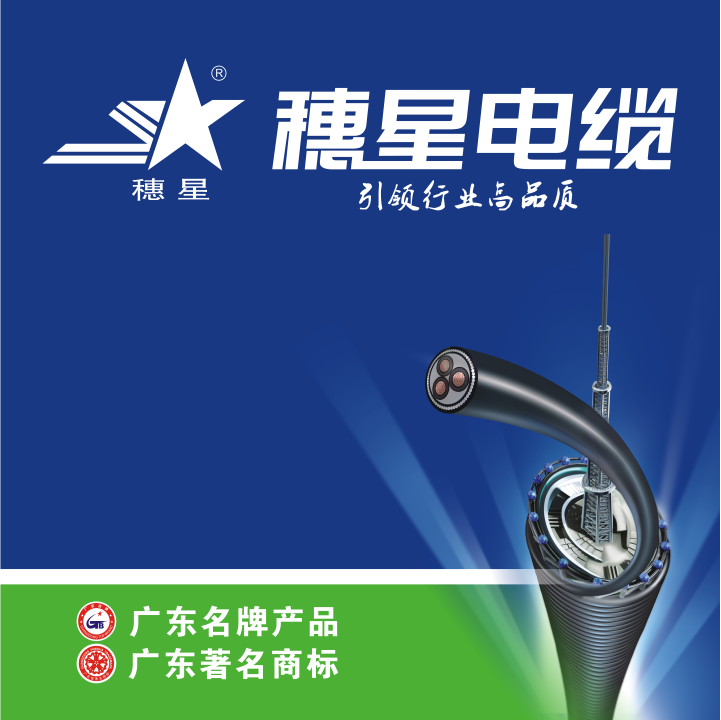 广州电缆：SGS 助推电线电缆行业绿色开展